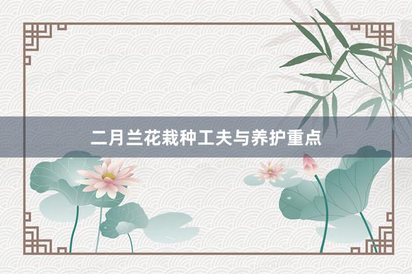 二月兰花栽种工夫与养护重点