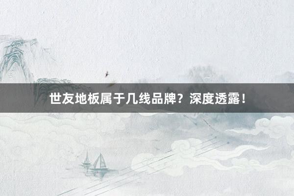世友地板属于几线品牌？深度透露！