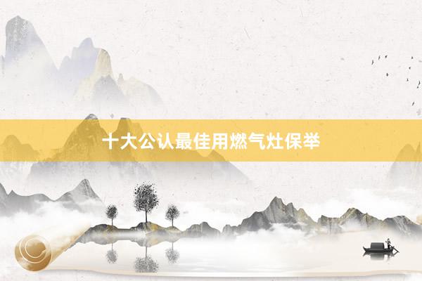 十大公认最佳用燃气灶保举